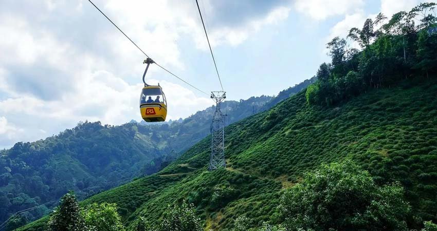 Darjeeling Gangtok Tour