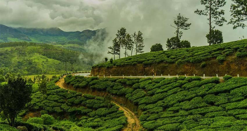 Darjeeling Mirik Tour