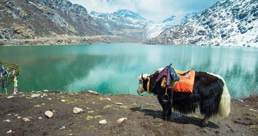 Darjeeling Mirik Tour