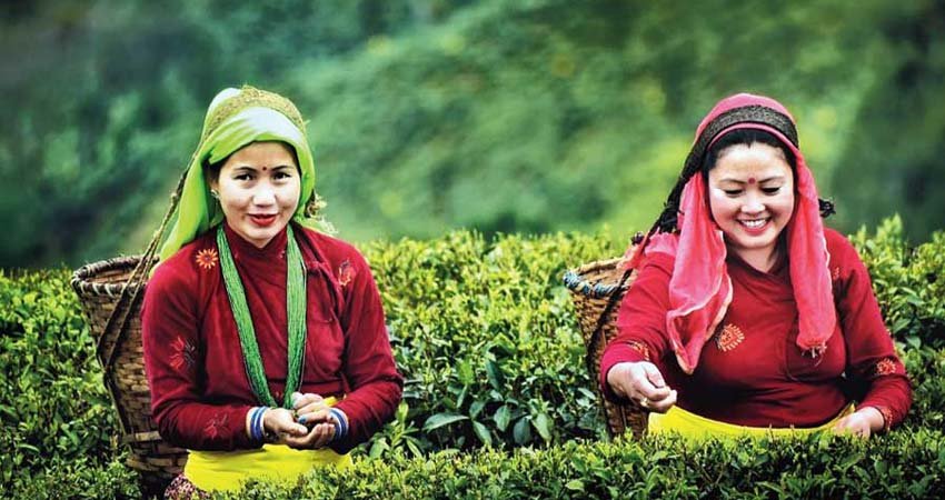 Splendid Darjeeling Weekend Tour