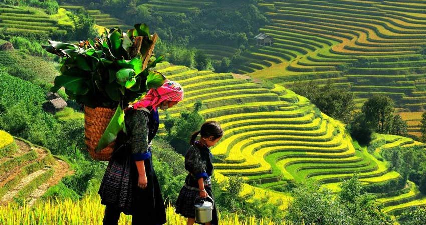 Bali Delights - Solo Special Package