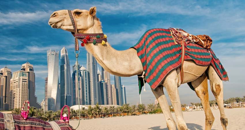 Dubai Escape Tour Package