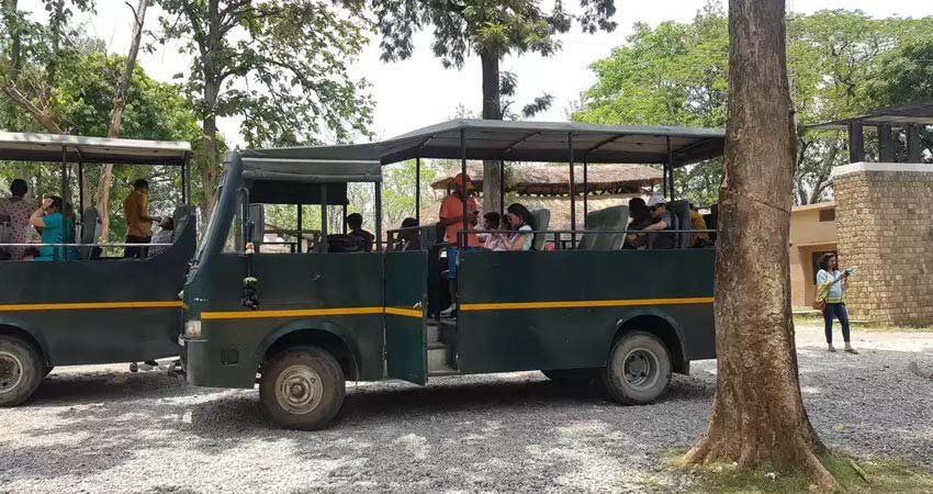 Dhikala Canter Safari, Jim Corbett National Park