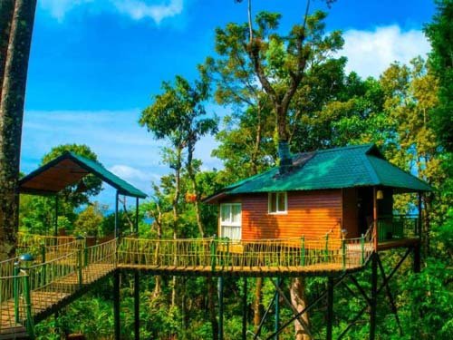 Best of Kerala with Treehouse Stay