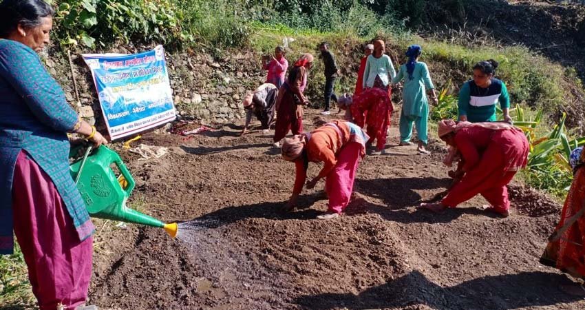 Nainidanda Village Tour Package